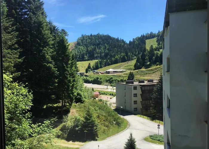 Vue Sur Pistes * La Bresse